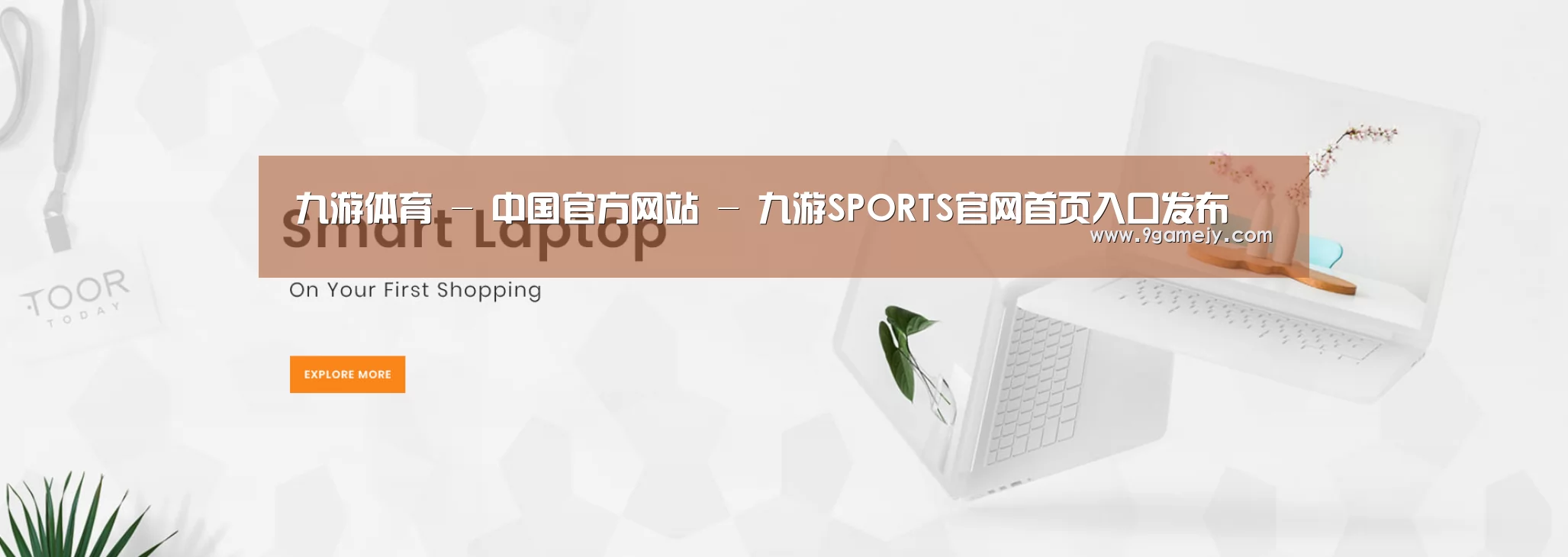 某某网络科技有限公司