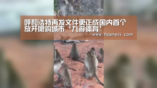 呼和浩特再发文件更正成国内首个放开限购城市‘九游体育’