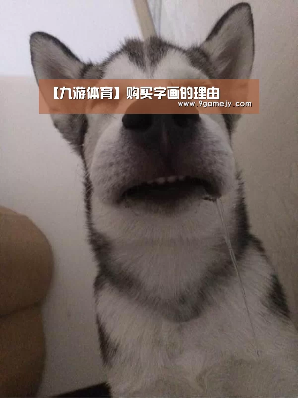 【九游体育】购买字画的理由