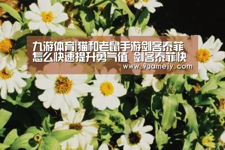 九游体育|猫和老鼠手游剑客泰菲怎么快速提升勇气值 剑客泰菲快速积攒勇气