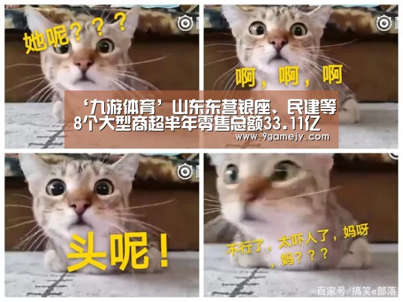 ‘九游体育’山东东营银座、民建等8个大型商超半年零售总额33.11亿